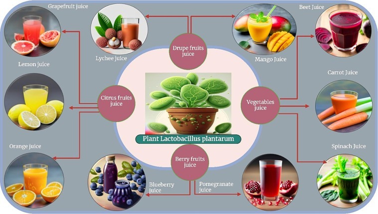 Exploring the Side Effects of Juicing