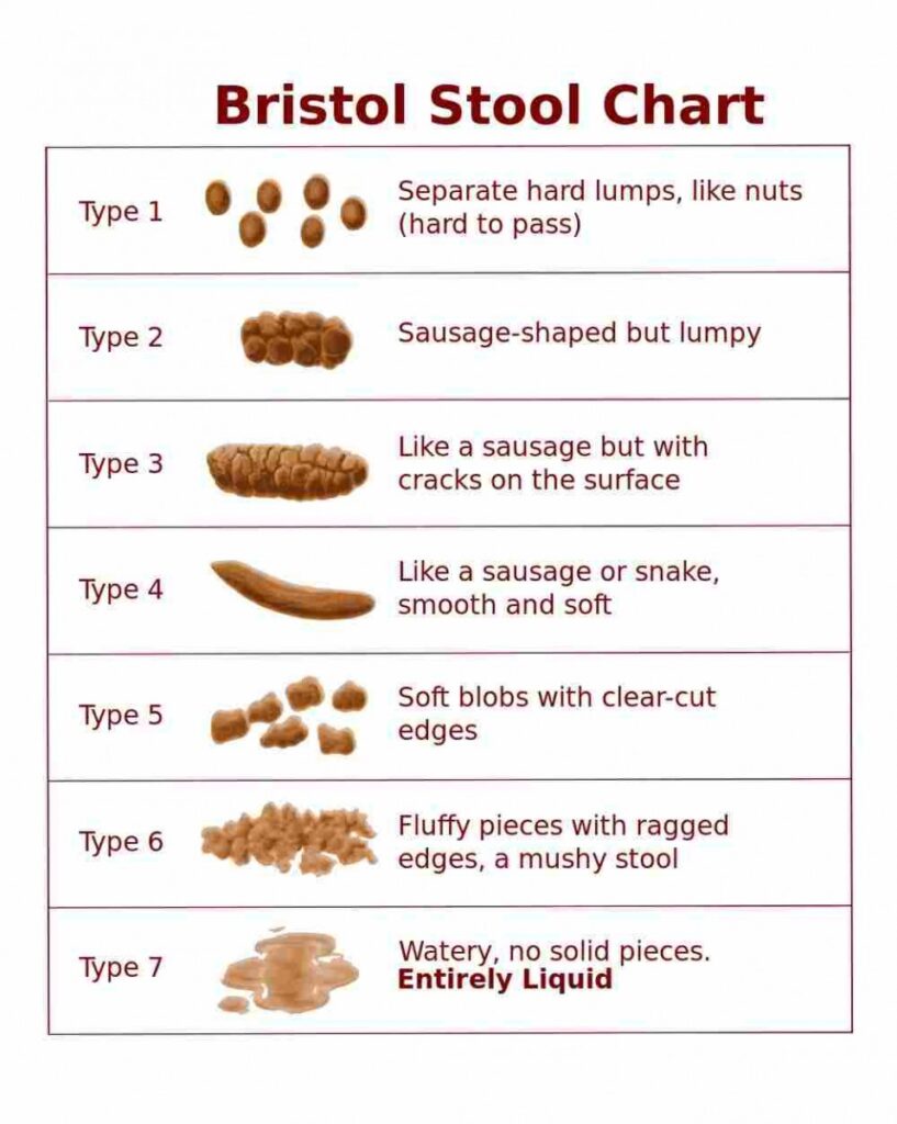 Understanding Bowel Movements When Juicing